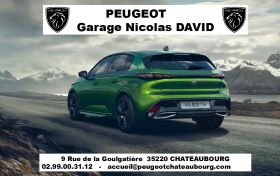 peugeotDavid.jpg